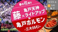 [亀戸] 亀戸天神の藤ライトアップ  [亀戸三大ホルモンプランは満席]