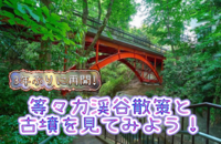 復活した等々力渓谷でマイナスイオンを浴びる🙌🏻〜帆立貝みたいな古墳を添えて🐚〜