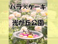 🌹バラ×ケーキ🍰 光が丘公園バラ園
