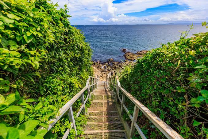 🌴【日帰り無人島探検】猿島ピクニック＆歴史探訪の旅🌊
