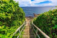 🌴【日帰り無人島探検】猿島ピクニック＆歴史探訪の旅🌊