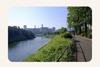 【GW モーニング☀️】皇居ウォーキング会