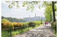 【GW モーニング☀️】皇居ウォーキング会