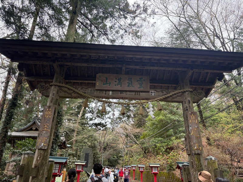 【5/17(日)開催】新緑まぶしい高尾山🍃初心者歓迎！みんなで絶景ハイキング体験🧗‍♀️