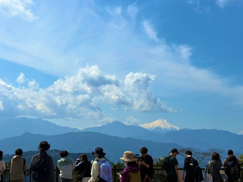 【5/17(日)開催】新緑まぶしい高尾山🍃初心者歓迎！みんなで絶景ハイキング体験🧗‍♀️