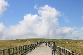 標高2,000mの大絶景！美ヶ原・王ヶ頭ゆるハイク（長野駅から車で乗り合わせOK！）