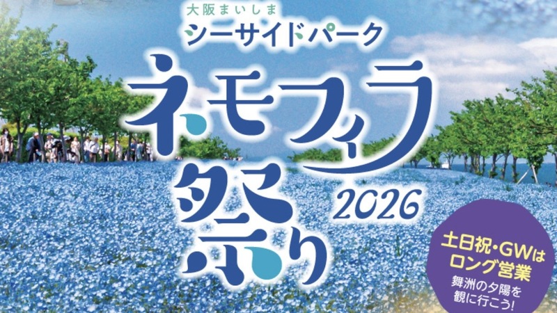 舞洲ネモフィラ祭りで夕陽を見よう🌅   29歳以下限定！