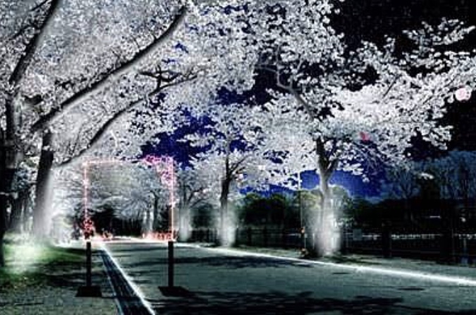 【早割中】ネモフィラのイルミネーションを見にいこう🌸🚨