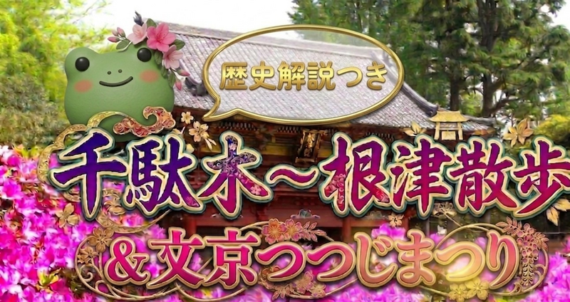 【男女共催】千駄木から根津に散歩し、文京つつじまつりに行こう【歴史解説付き】