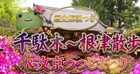【男女共催】千駄木から根津に散歩し、文京つつじまつりに行こう【歴史解説付き】