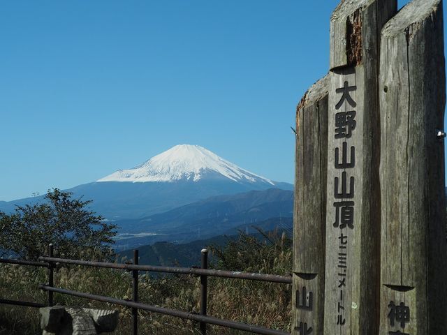 主催オススメ⭐️初級者歓迎！大野山の絶景トレッキング🌳関東の富士見100景⛰️