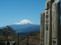 主催オススメ⭐️初級者歓迎！大野山の絶景トレッキング🌳関東の富士見100景⛰️