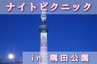【ナイトピクニック】夜景を見ながらゆったり友達作り（東京の社会人サークル20代〜30代限定）