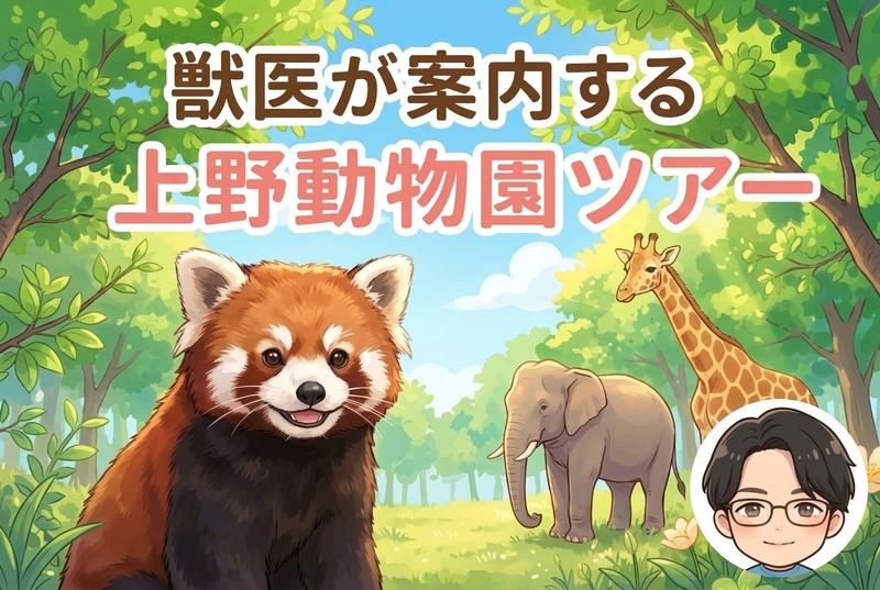 🐼獣医が案内する上野動物園ツアー🦁
