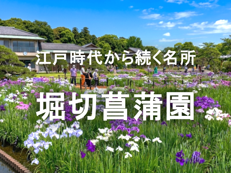 駅名にもなっている堀切菖蒲園でハナショウブ鑑賞をしよう！