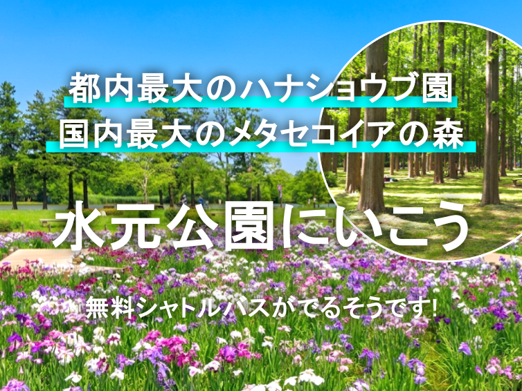 無料シャトルバスあり！広大な水元公園（ハナショウブ園・メタセコイアの森）にいこう☺