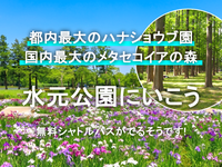 無料シャトルバスあり！広大な水元公園（ハナショウブ園・メタセコイアの森）にいこう☺