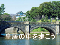 【皇居一般参観】皇居の中を歩いてみよう
