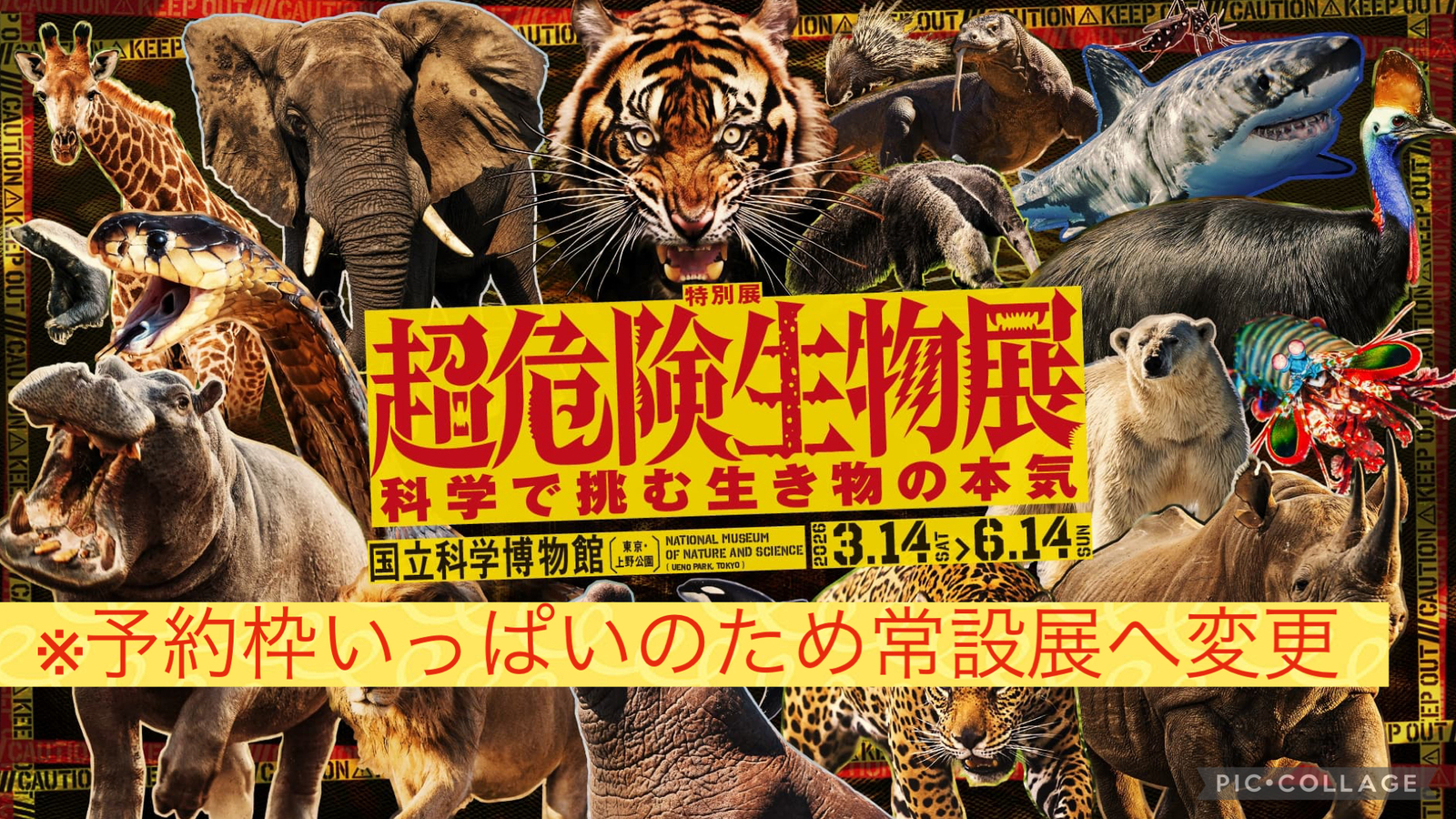 【5/4 9時集合！】気になる展示会🐯✨