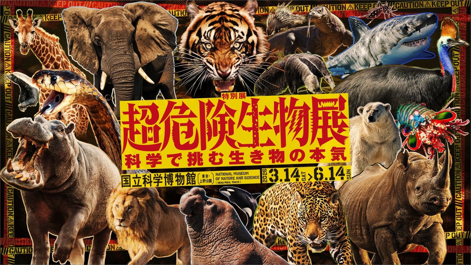 【5/4 9時集合！】気になる展示会🐯✨