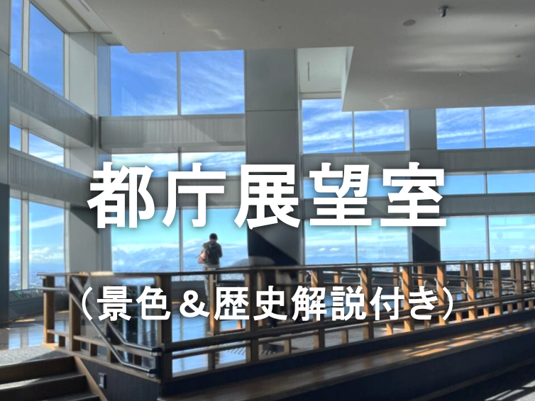 西新宿の歴史と地下と都庁展望を楽しもう（解説付き）