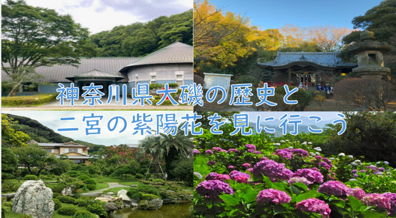 【神奈川の別荘地＋紫陽花の名所】大磯町と二宮町の紫陽花を見て歩こう（説明・解説付）