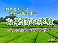 【お茶摘み体験★〜新緑の茶畑で、爽やかな時間を〜】