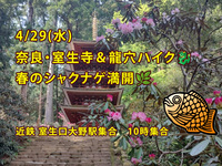 【4/29開催】奈良・室生寺＆龍穴ハイク🐉春のシャクナゲ満開！初心者・1人参加大歓迎