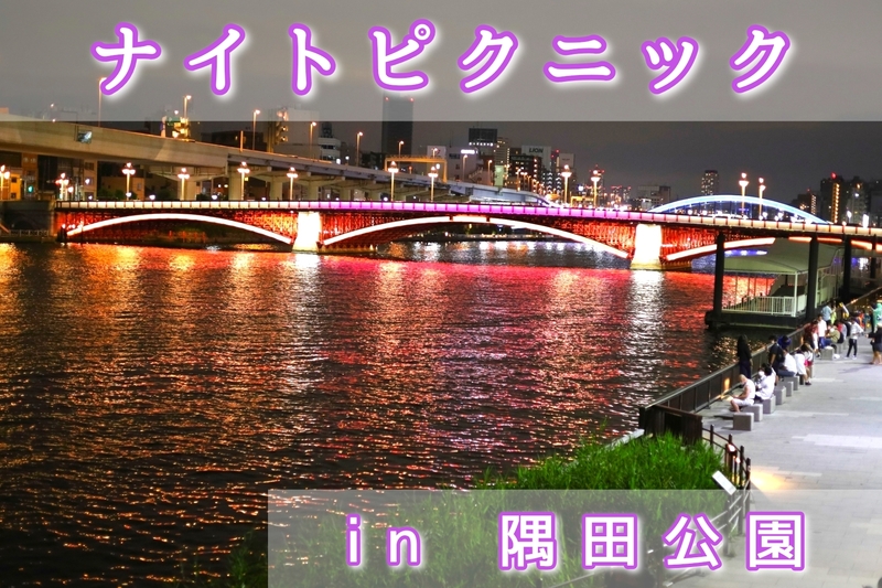 【ナイトピクニック】仕事終わりに夜景を見ながら友達作り（社会人サークル20代〜30代限定）