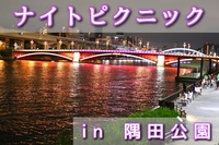 【ナイトピクニック】仕事終わりに夜景を見ながら友達作り（社会人サークル20代〜30代限定）