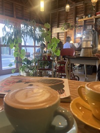 【5/6(祝・水)隅田川テラス】20〜30代限定！連休最終日・朝ラン＆人気カフェランチ会☕🍽️🏃‍♀️