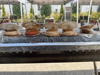 【40代・50代以上】手ぶらで！築地で浜焼きBBQ！