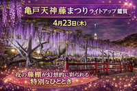 【4/23開催】亀戸天神✨限定夜間ライトアップ！藤まつりイルミネーションで幻想体験
アンコール企画❣️