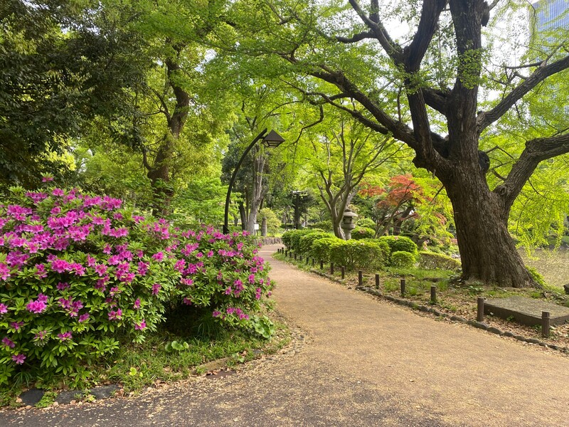 🚶🏻【日比谷公園】朝さんぽ と カフェトーク
