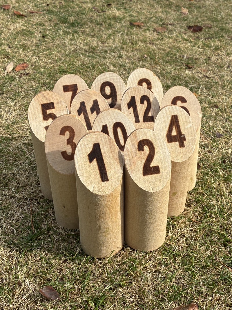 初心者向け🌼たのしいモルック会