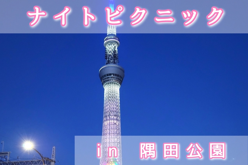 【ナイトピクニック】仕事終わりに夜景を見ながら友達作り（社会人サークル20代〜30代限定）