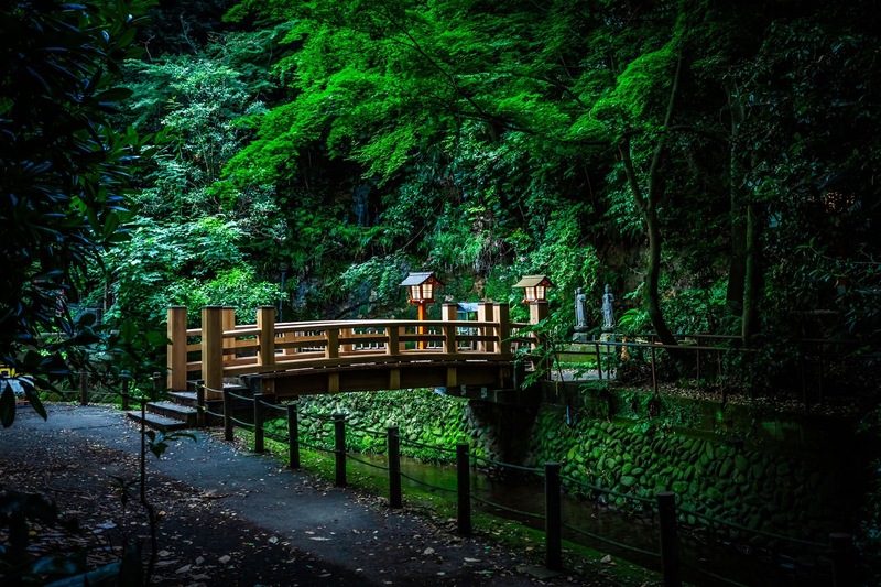 【30代・40代限定】都会のオアシスでリフレッシュ🌿ドドロキ渓谷散歩🚶