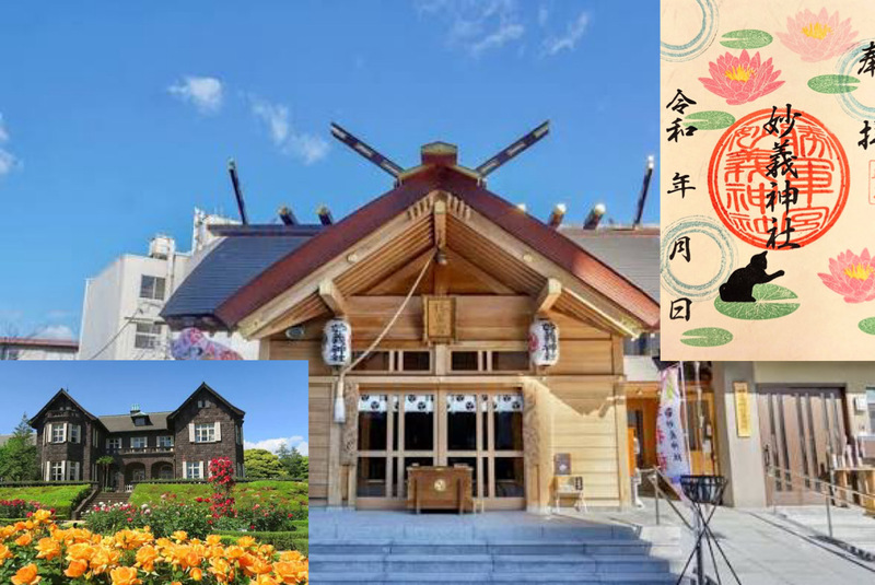 【猫神社参拝してバラ園に行こう！】5/9 10時半　駒込　妙義神社～旧古河庭園【参加費還元】