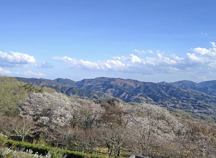 草花愛でる美の山と皆野椋神社奥社 蓑山神社