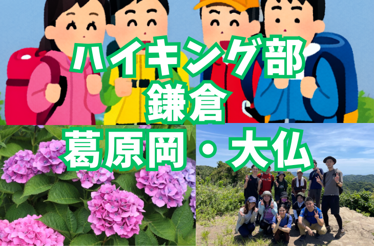 【ハイキング部】6/6（土）鎌倉・あじさいの隠れた名所を歩く葛原岡・大仏コース⛰