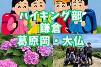 【ハイキング部】6/6（土）鎌倉・あじさいの隠れた名所を歩く葛原岡・大仏コース⛰