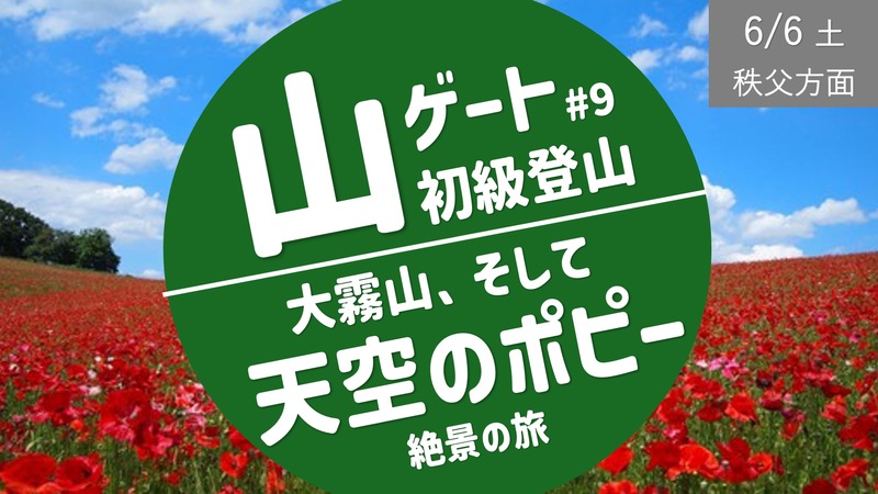 [秩父方面] 天空のポピー、絶景の旅（大霧山登山からのご褒美ポピー）
