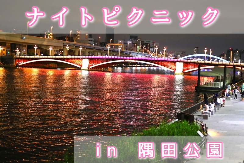 【ナイトピクニック】仕事終わりに夜景を見ながら友達作り（社会人サークル20代〜30代限定）
