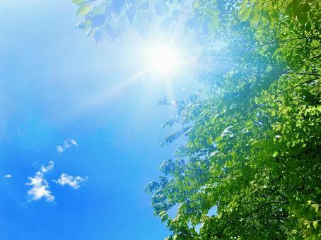 【ゆるめのカフェ会☕】 今の生活と、ちょっと先の理想をゆるく話す会