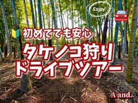 【初めてでも安心🔰都内でタケノコ狩り体験★〜新緑の竹林で、旬の味覚を収穫～ 】