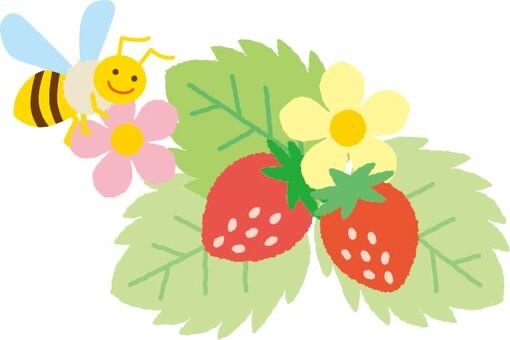 苺狩りピクニック🍓⛰️手ぶらOK＆初参加歓迎！春限定の絶品いちご体験でリフレッシュ✨