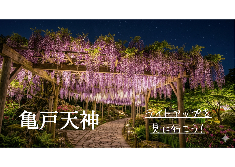 🌸1人参加OK◎亀戸天神へおでかけ交流会（20代30代）