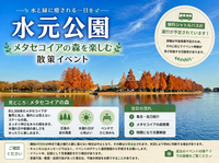 水元公園　メタセコイヤの森　散策会