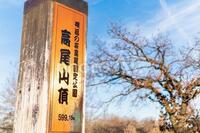 【5/3(日)GW】高尾山ハイキング🌄20代限定・初参加歓迎！新緑のなかでリフレッシュしよう🌲✨