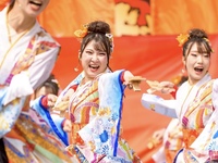 【6/7(日)締切！】よさこいメンバー募集